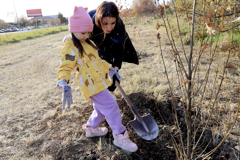Фото - Зеленое будущее: тагильские металлурги высадили больше 100 молодых деревьев